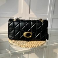 C-17 Gold 26CM