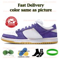 97 Orange Label Court Purple 36-45