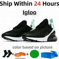 11 Igloo