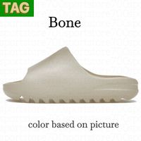 08 Bone 2022